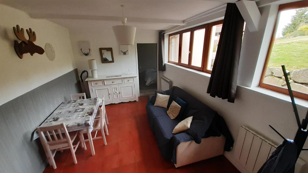 Le Saut Du Cerf Apartamento Gérardmer Exterior foto